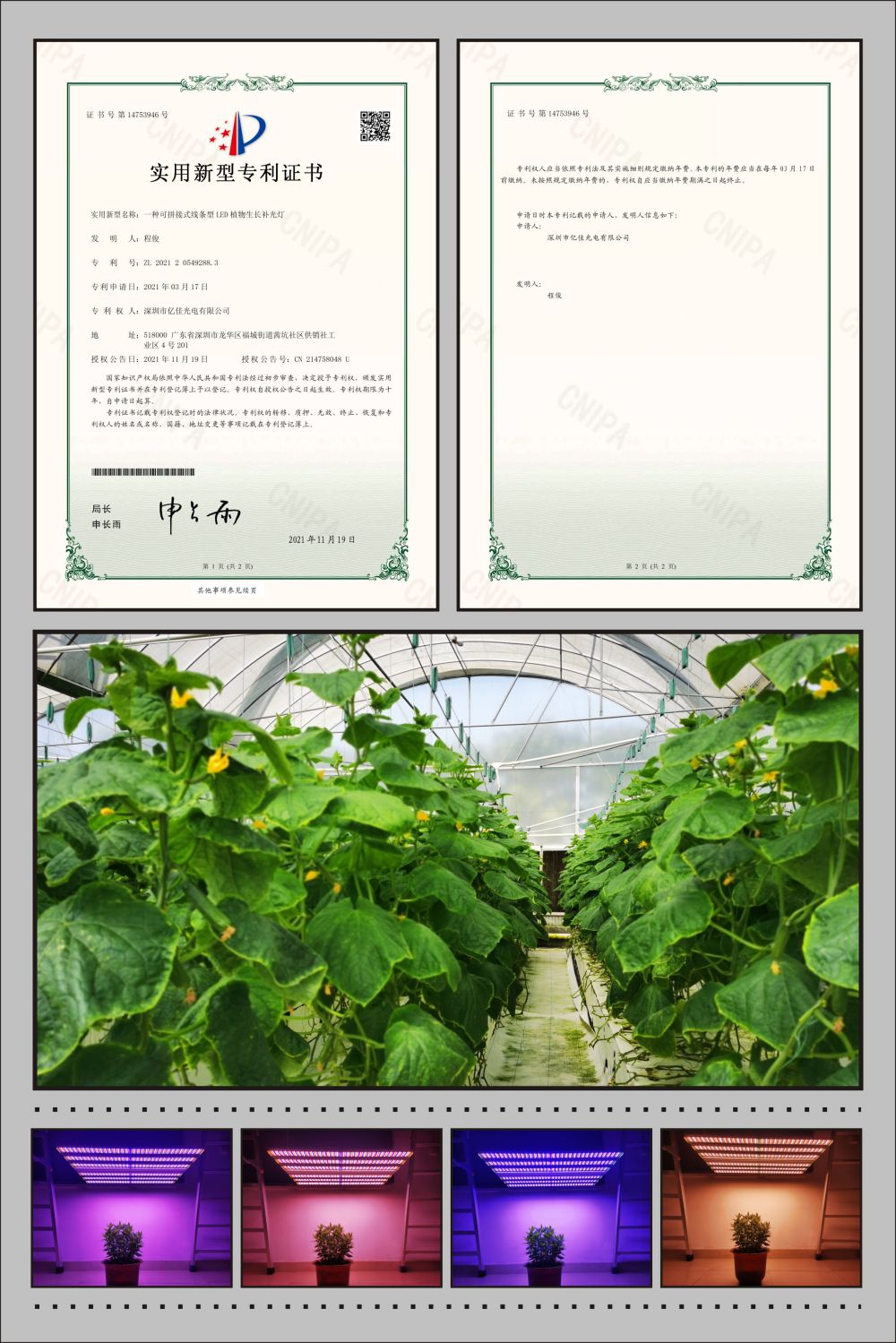 大宝娱乐植物农场灯适用新型专利